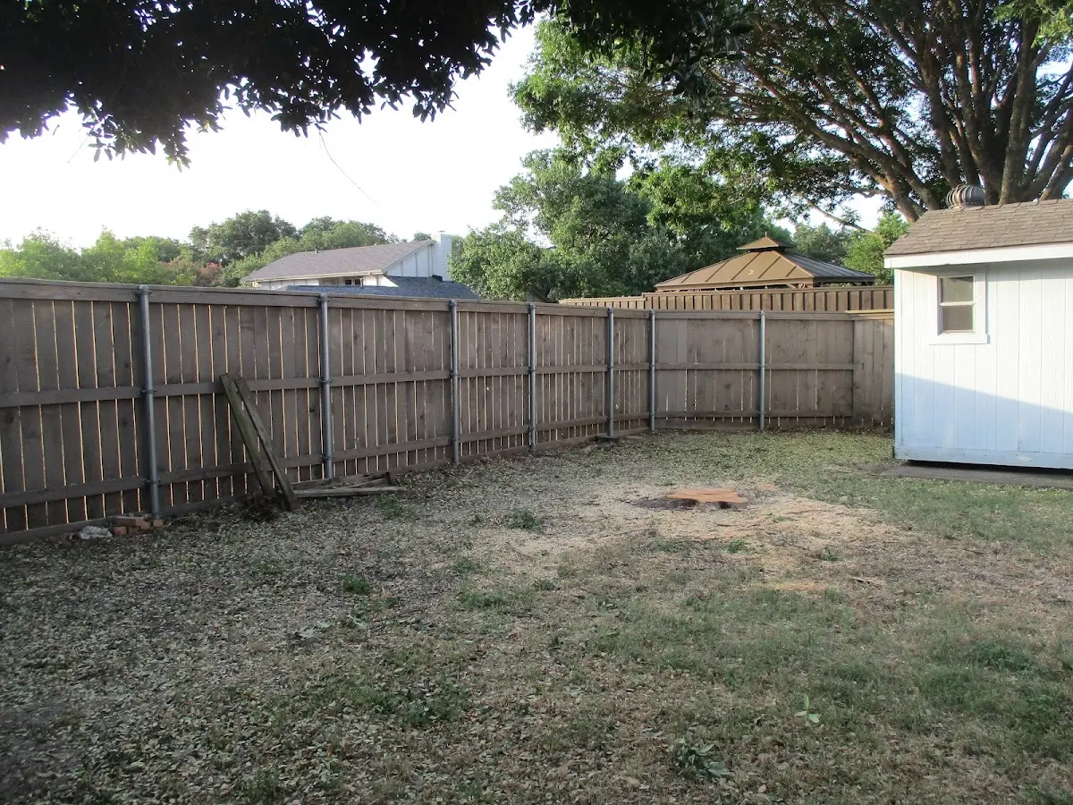 Cleared yard after professional tree removal in Hortonville