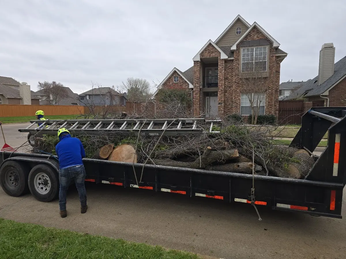 Expert Crown Reduction with proper safety equipment in Hortonville
